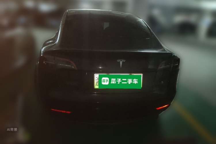 Tesla Model 3 2021 imagem de carro #6