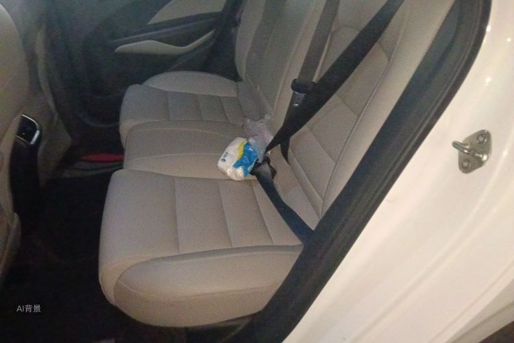 GEELY Binray 2018 #19 GEELY Binray 2018 car image #19