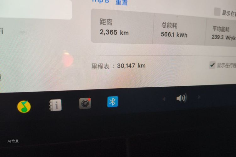 Tesla Model 3 2020 car image #14