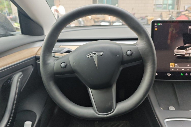 Tesla Model 3 2022 car image #15