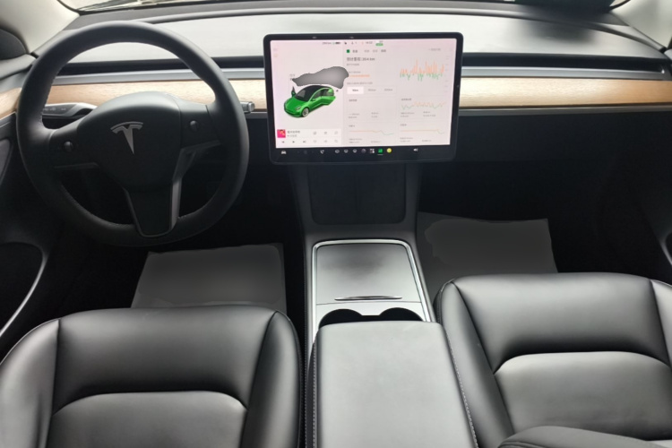 Tesla Model 3 2021 #10 Tesla Model 3 2021 изображение автомобиля #10