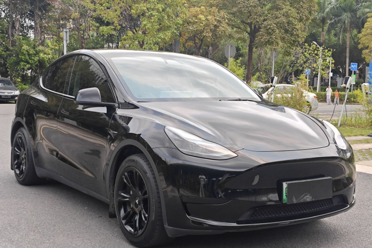 Tesla Model Y 2023 car image #6