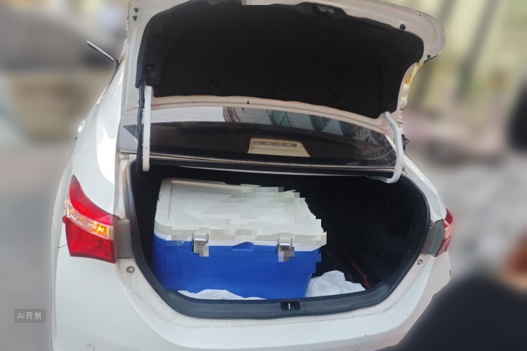 2014 #21 2014 car image #21