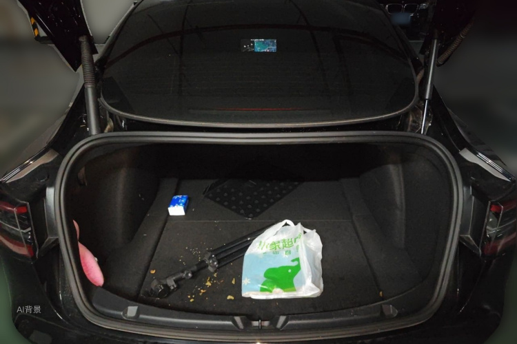 Tesla Model 3 2021 car image #21