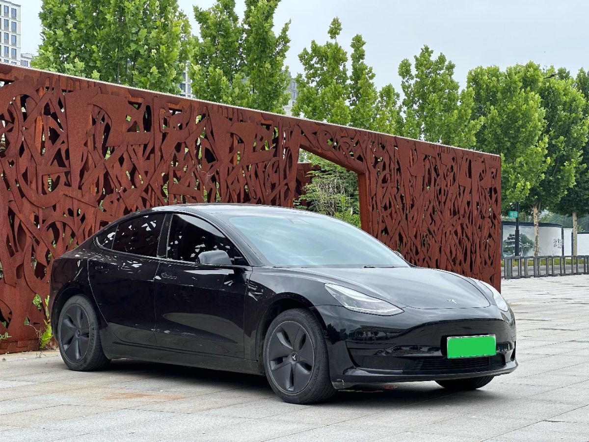Tesla Model 3 2020 car image #3