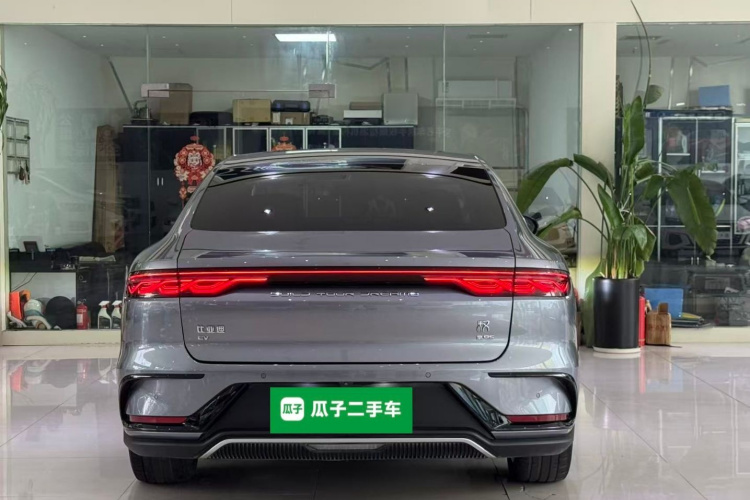 BYD Han 2022 #6 BYD Han 2022 immagine di auto #6