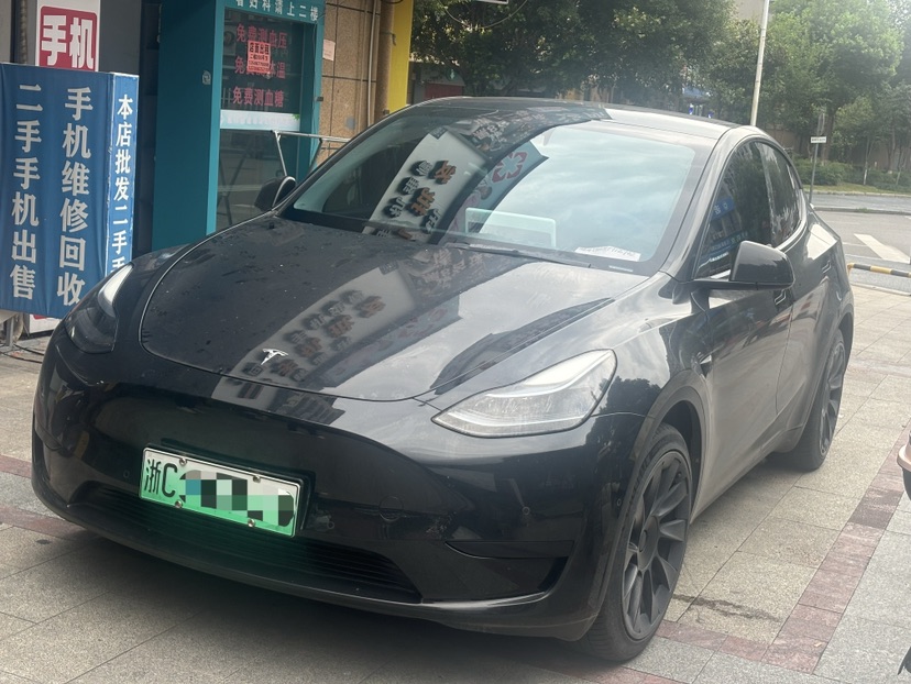 Tesla Model Y 2024 car image 