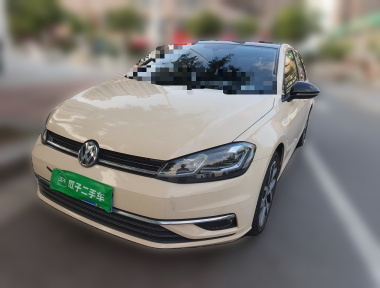 Volkswagen Golf 2019 car image 