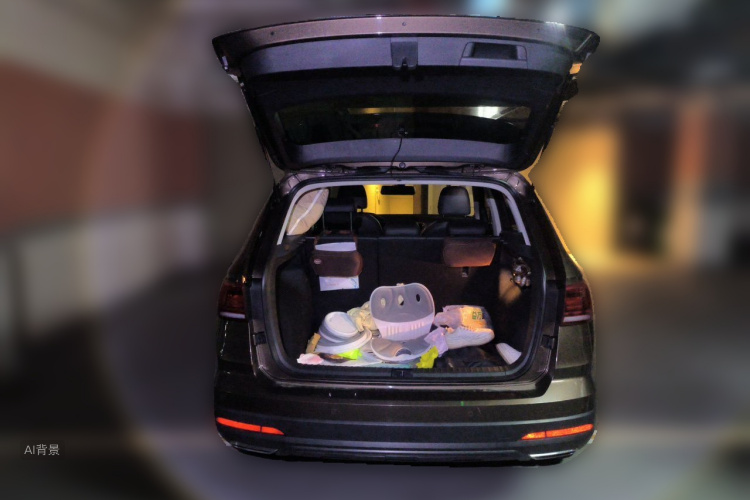 Volkswagen Tharu 2019 car image #21