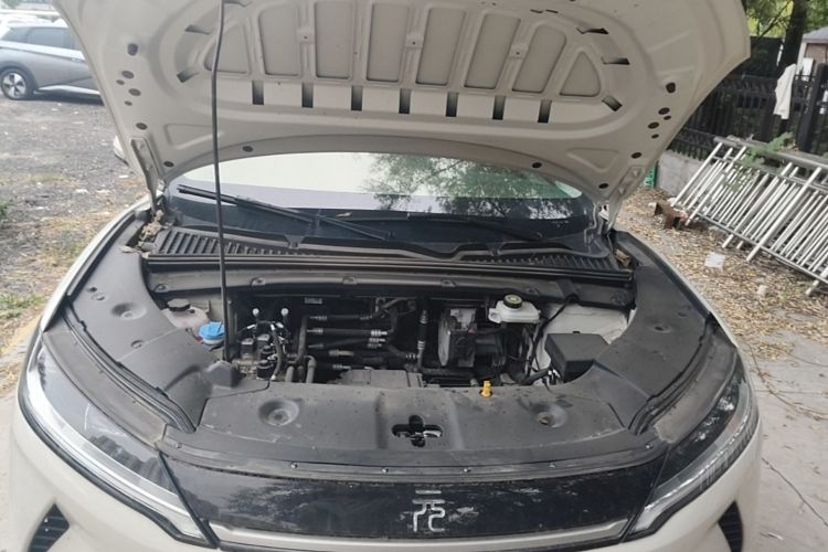 BYD YuanUP 2026 #20 BYD YuanUP 2026 car image #20