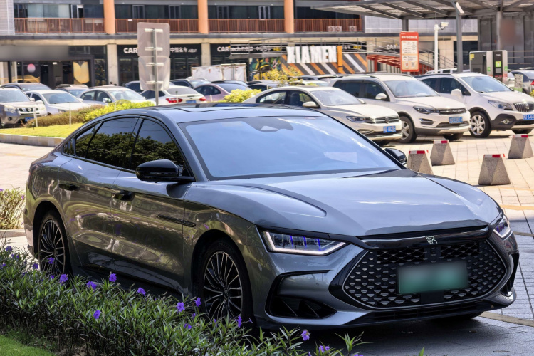 BYD Han 2022 immagine di auto #4