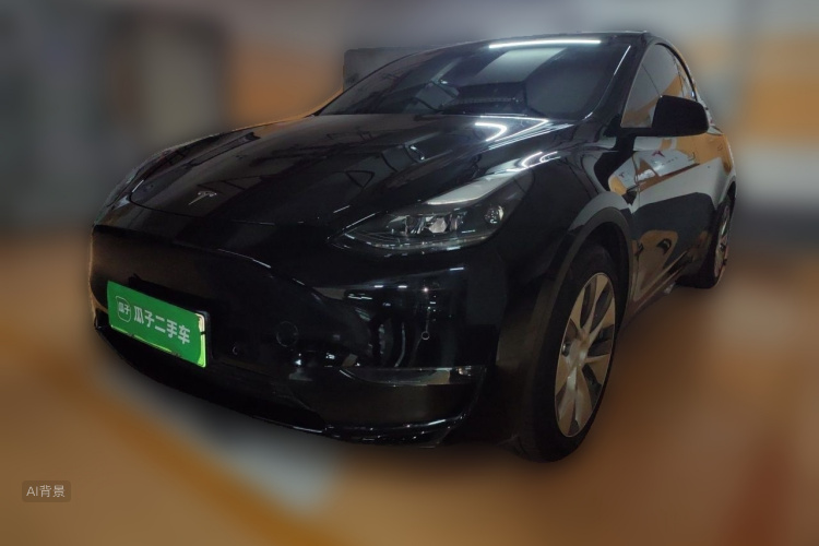 Tesla Model Y 2021 #2 Tesla Model Y 2021 صورة سيارة #2