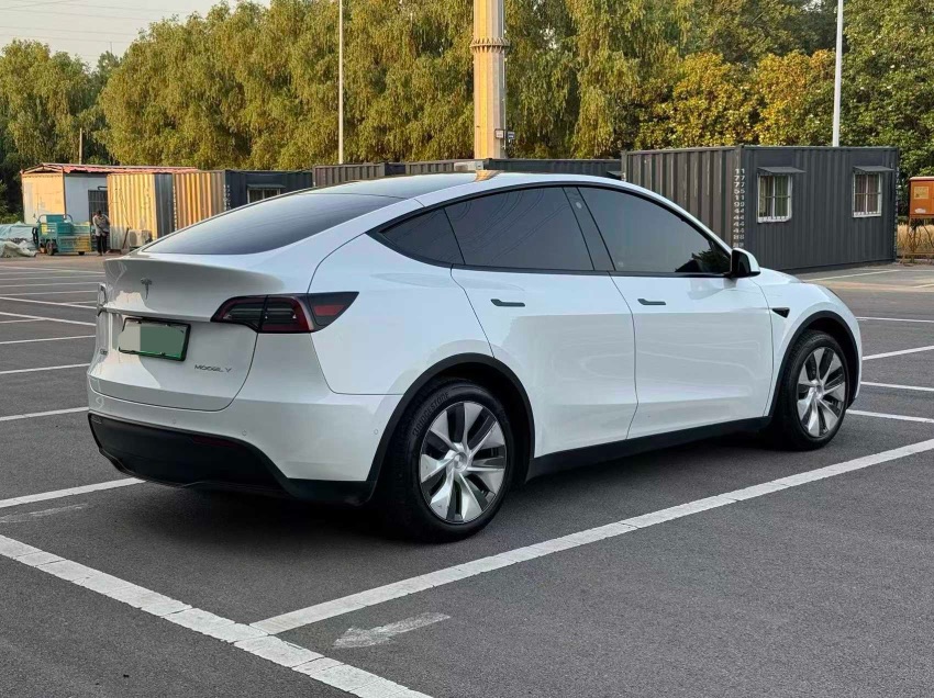 Tesla Model Y 2023 car image #6