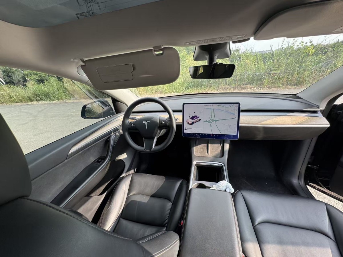 Tesla Model Y 2021 #9 Tesla Model Y 2021 car image #9