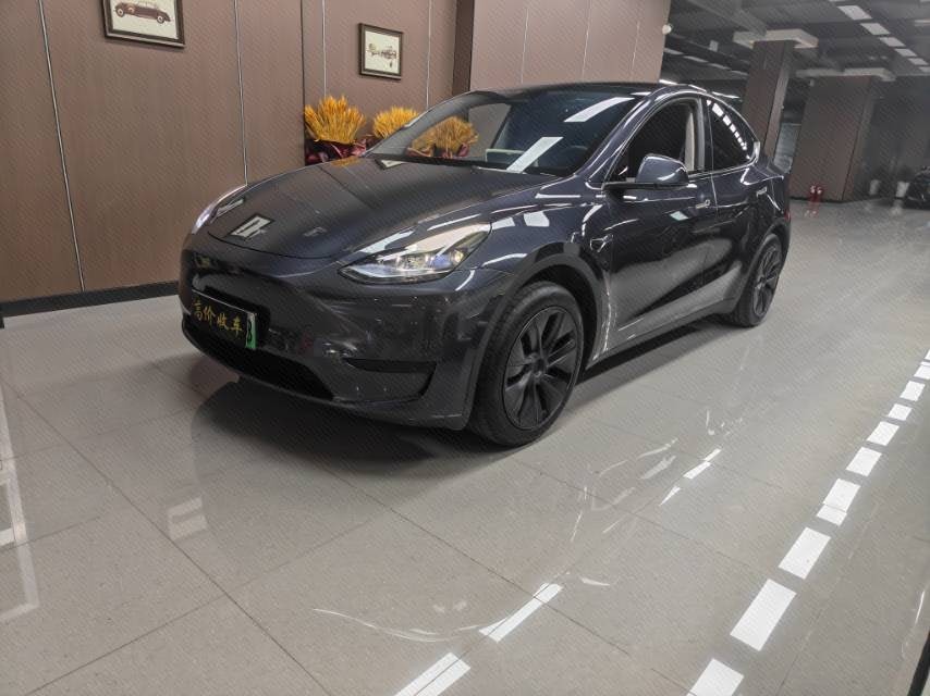 Tesla Model Y 2024 Tesla Model Y 2024 car image