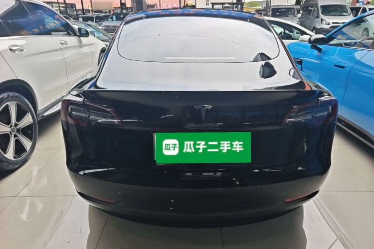 Tesla Model 3 2020 car image #4