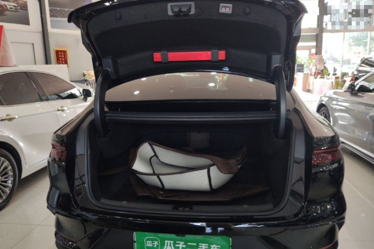 BYD Han 2024 car image #19