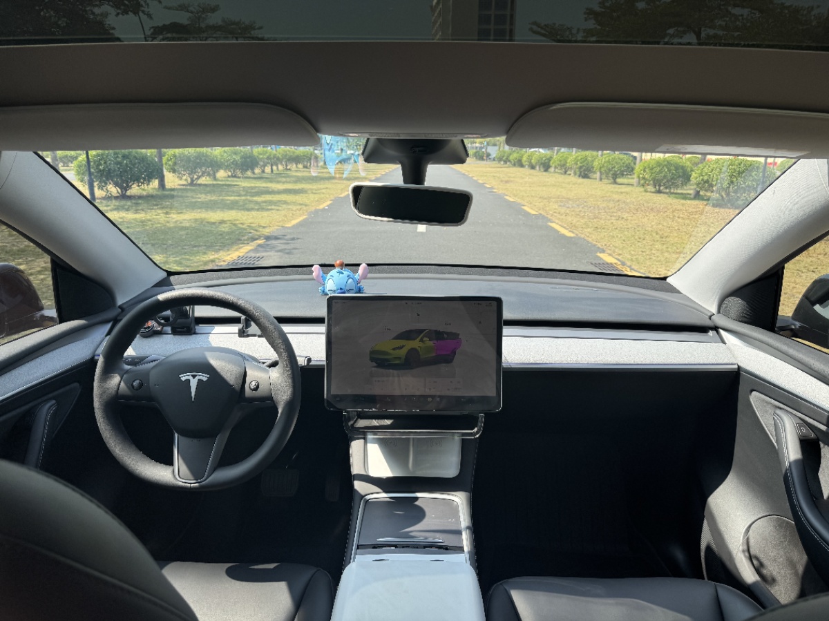 Tesla Model Y 2024 #6 Tesla Model Y 2024 car image #6