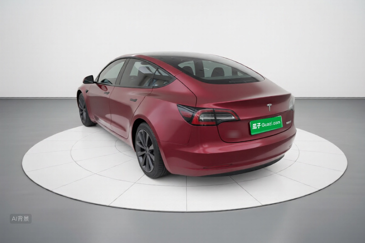 Tesla Model 3 2021 car image #5