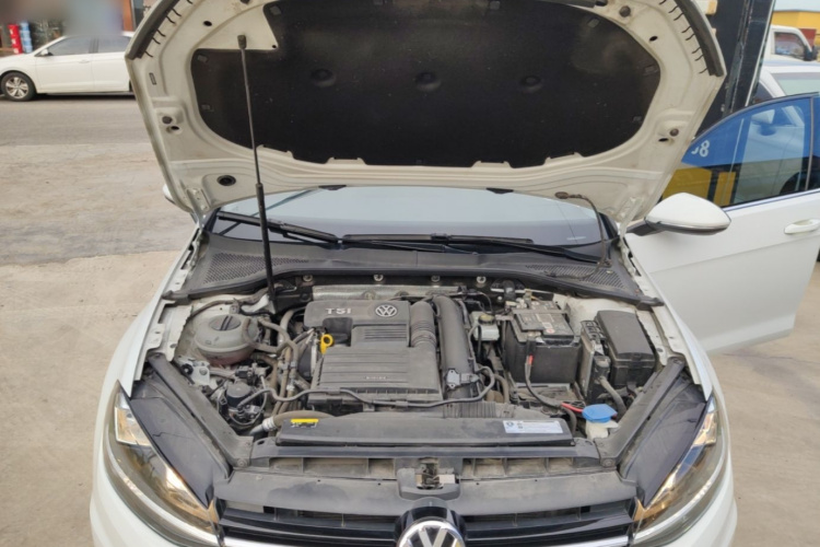 Volkswagen Golf 2019 #20 Volkswagen Golf 2019 car image #20
