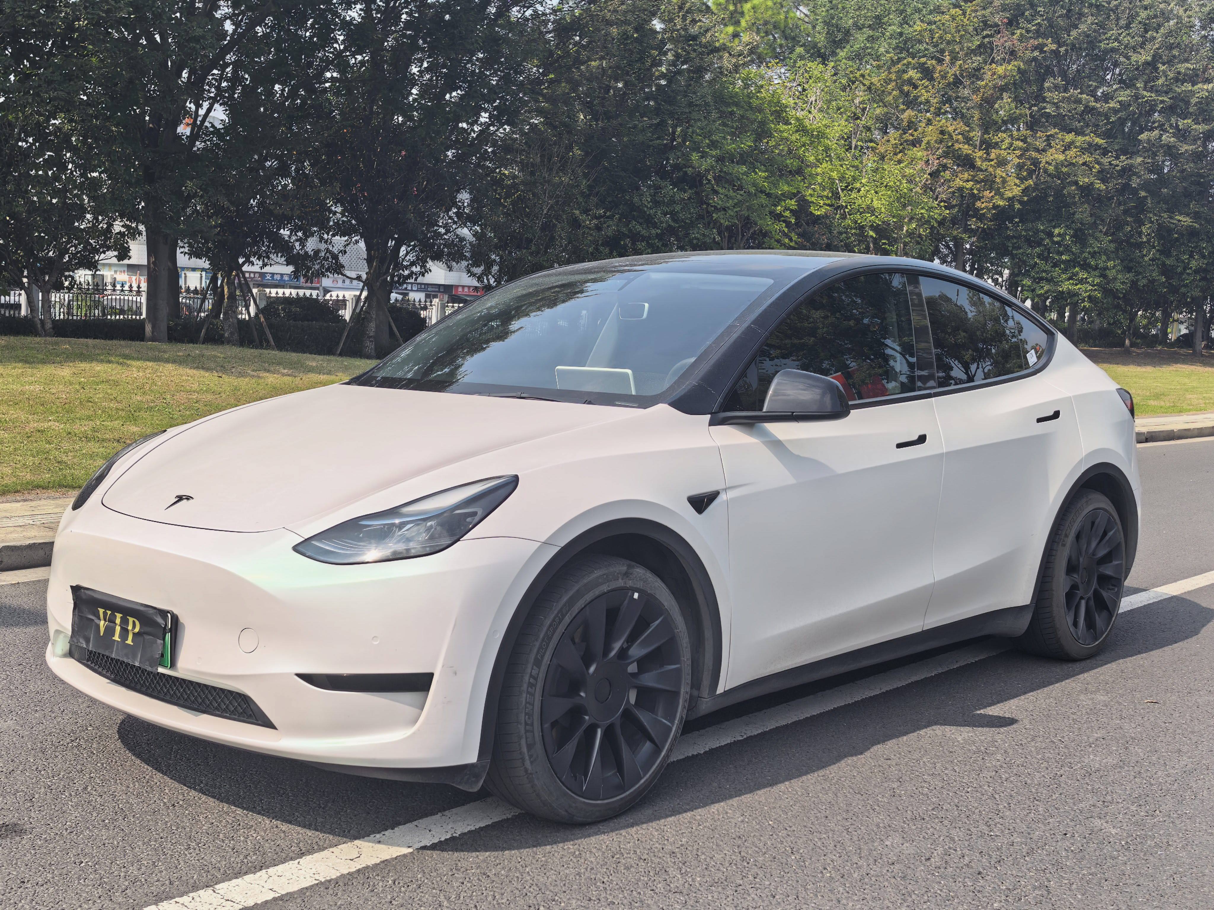 Tesla Model Y 2022 Tesla Model Y 2022 car image