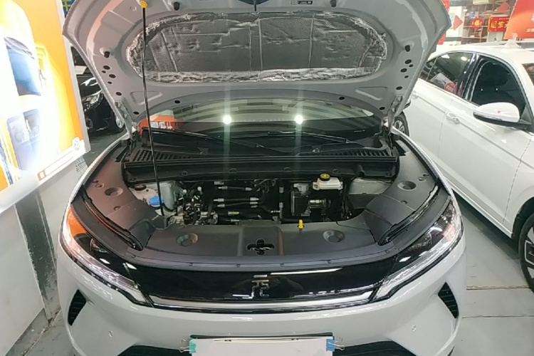BYD YuanUP 2026 #22 BYD YuanUP 2026 car image #22