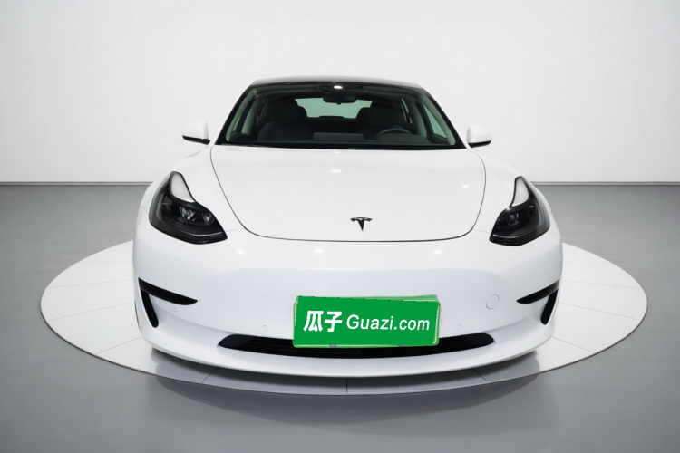 Tesla Model 3 2021 #3 Tesla Model 3 2021 car image #3
