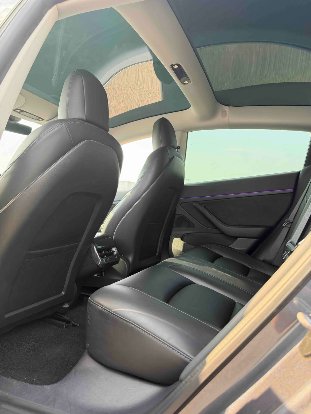 Tesla Model 3 2020 #13 Tesla Model 3 2020 car image #13