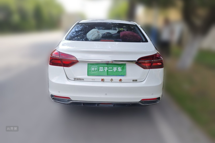 GEELY Emgrand 2020 car image #6