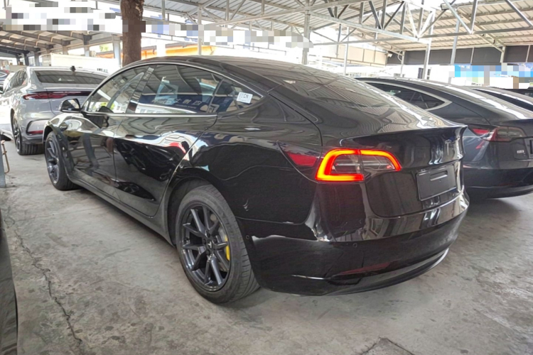 Tesla Model 3 2021 #5 Tesla Model 3 2021 car image #5