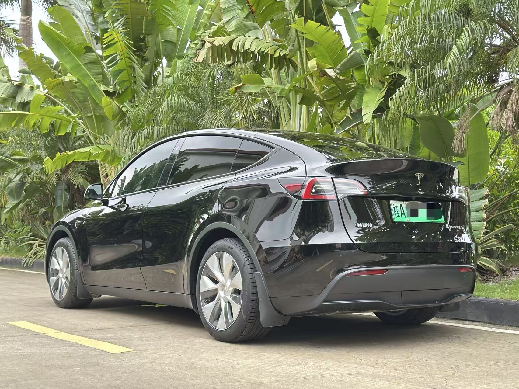 Tesla Model Y 2023 #5 Tesla Model Y 2023 car image #5
