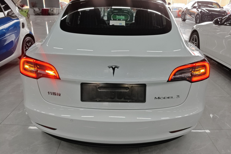 Tesla Model 3 2020 #6 Tesla Model 3 2020 car image #6