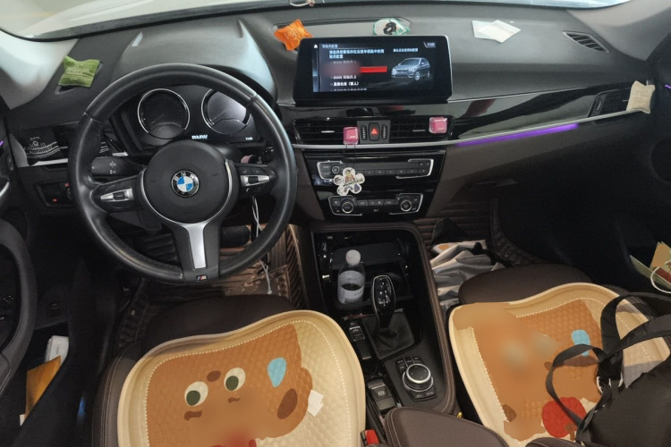 BMW X1 2020 immagine di auto #7