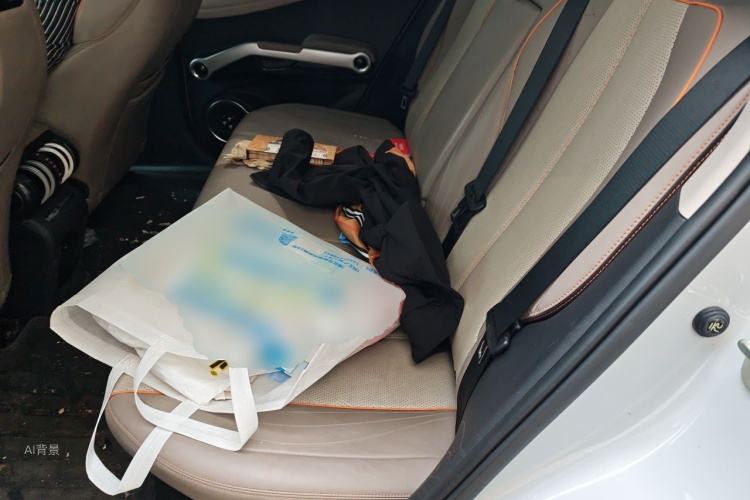 BYD Yuan Plus 2024 car image #19