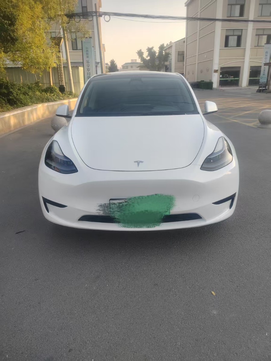 Tesla Model Y 2024 Tesla Model Y 2024 imagen de coche