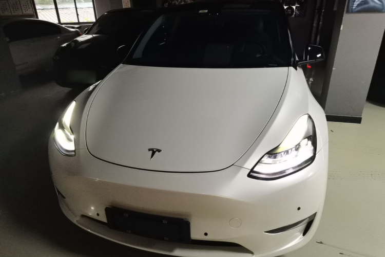 Tesla Model Y 2021 #3 Tesla Model Y 2021 car image #3