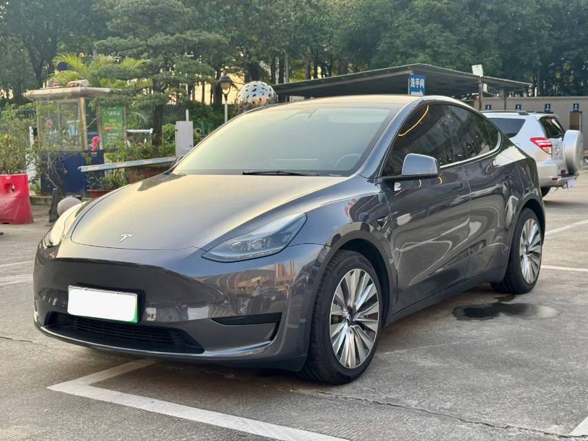 Tesla Model Y 2022 Tesla Model Y 2022 car image