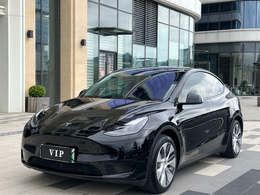 Tesla Model Y 2022 Tesla Model Y 2022 car image