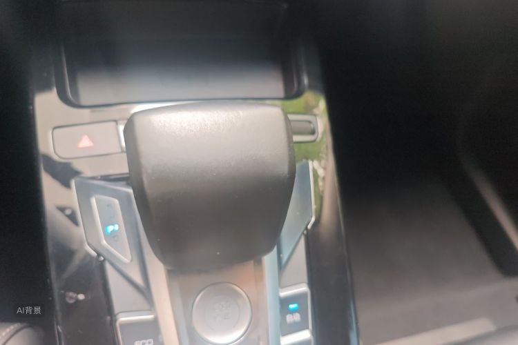 BYD Yuan New Energy 2019 car image #10