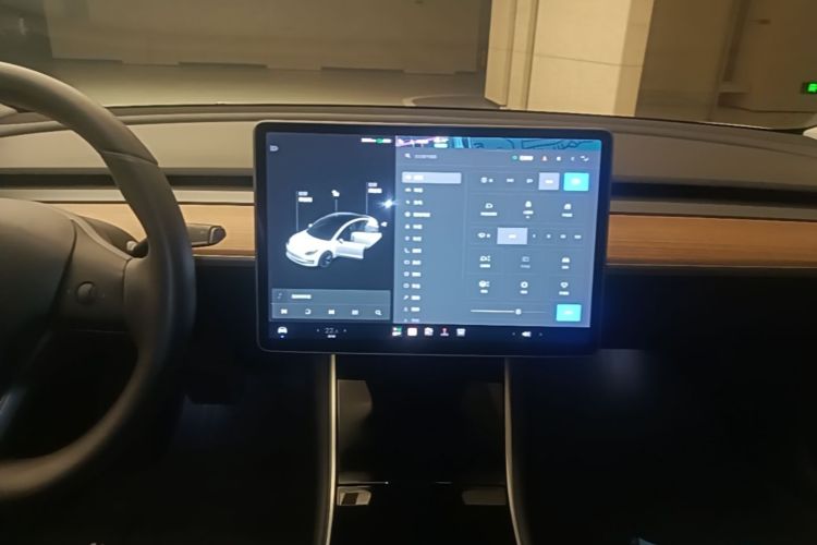 Tesla Model 3 2020 car image #13