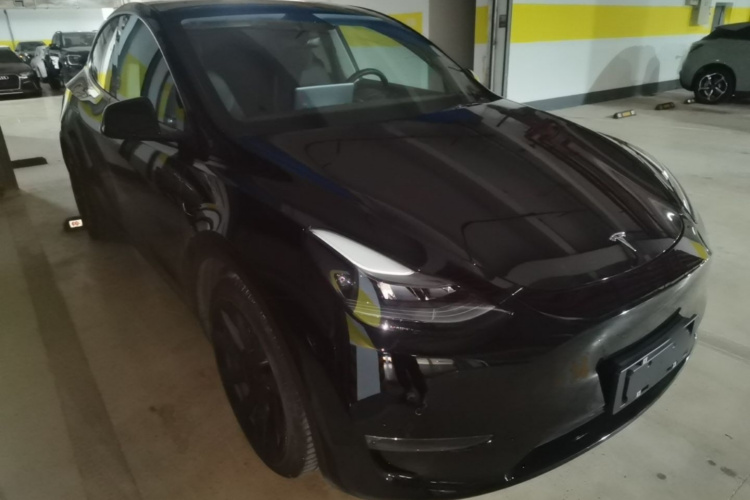 Tesla Model Y 2021 #4 Tesla Model Y 2021 car image #4