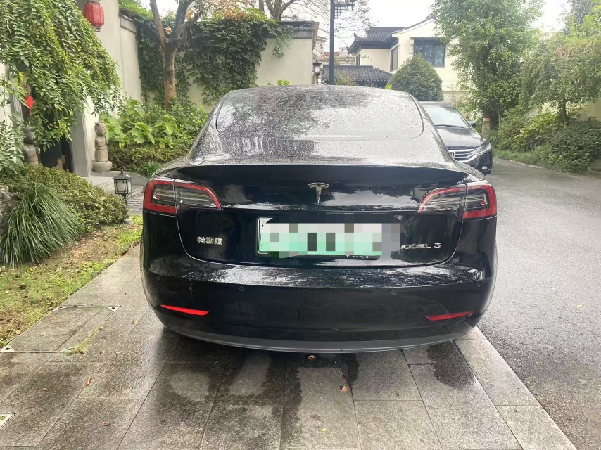 Tesla Model 3 2021 car image #3