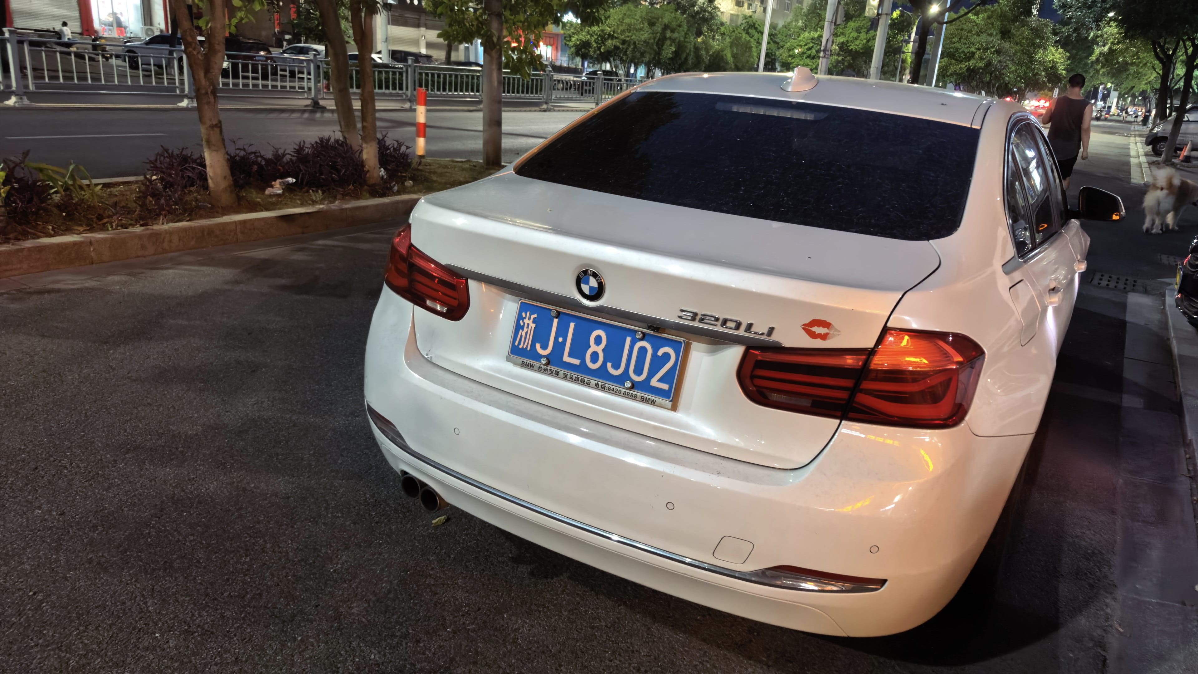 BMW 3 Series 2017 #5 BMW 3 Series 2017 car image #5