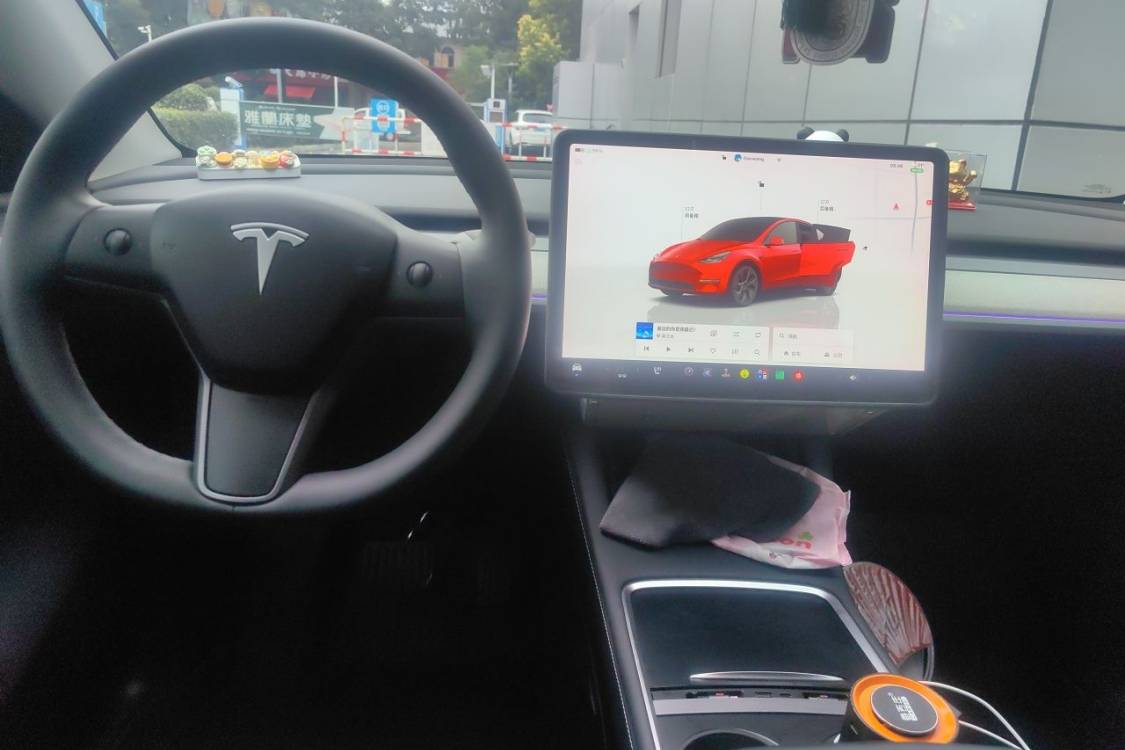 Tesla Model Y 2024 car image #21