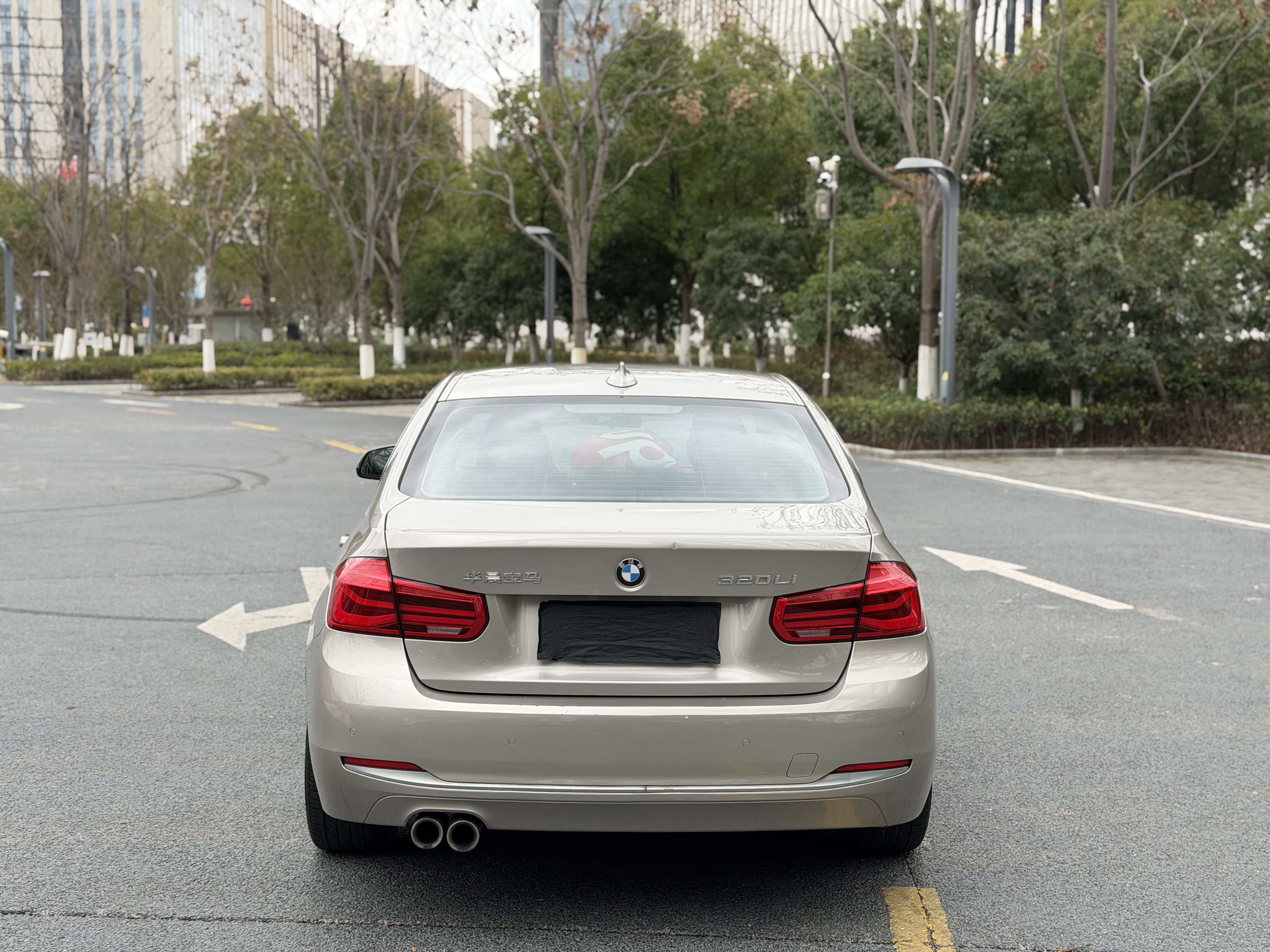 BMW 3 Series 2019 car image #11