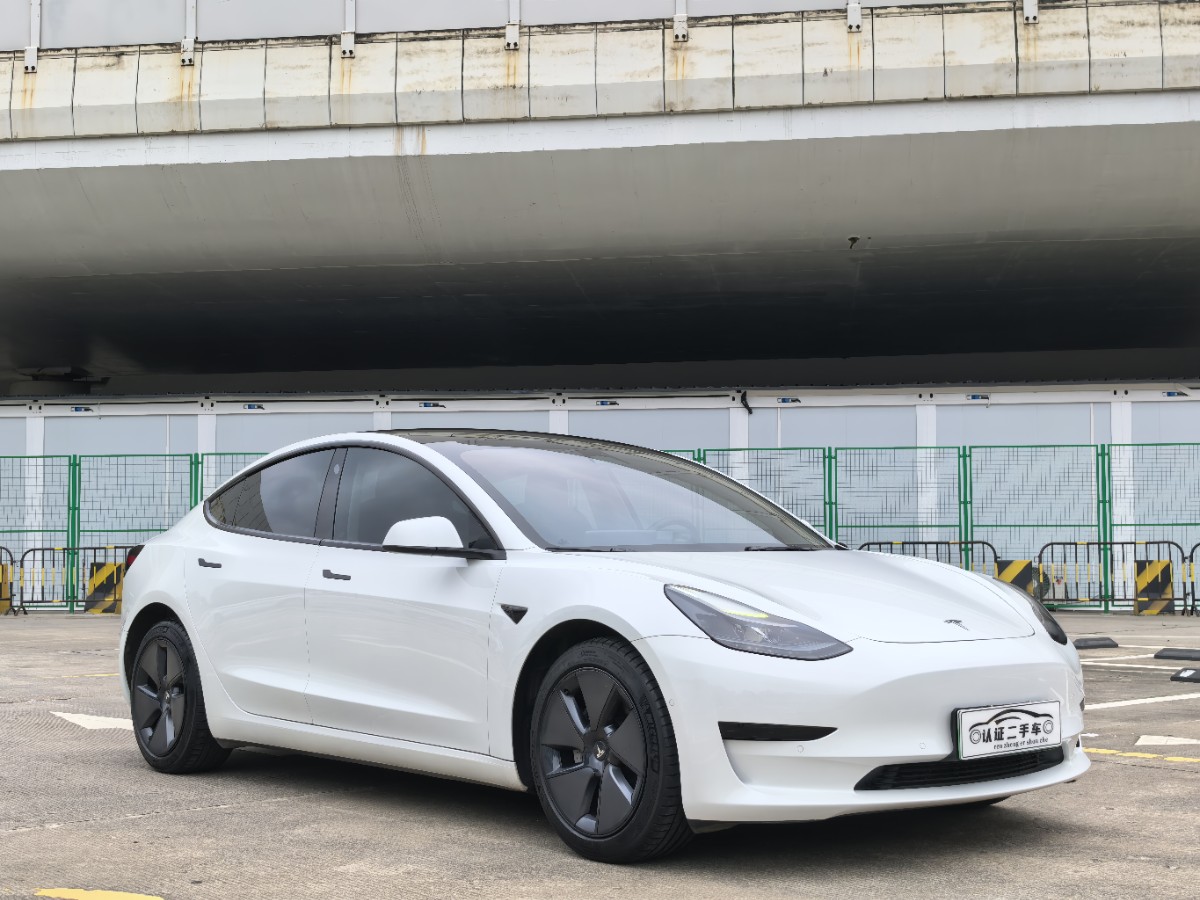 Tesla Model 3 2022 #3 Tesla Model 3 2022 car image #3