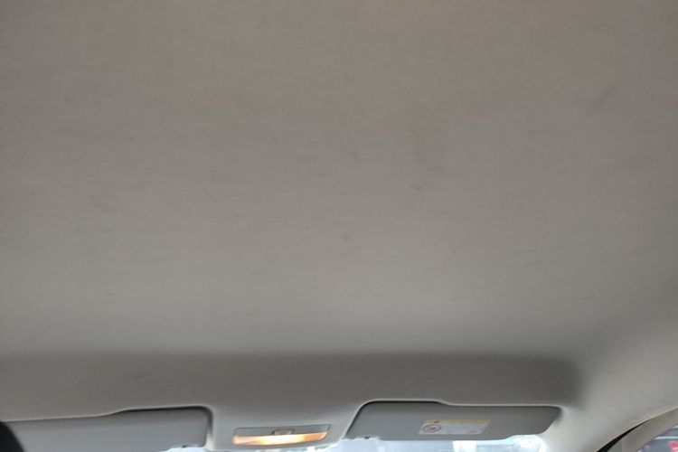 Volkswagen Santana 2020 car image #18
