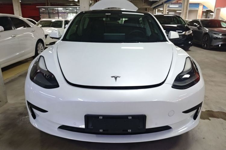Tesla Model 3 2021 car image #3