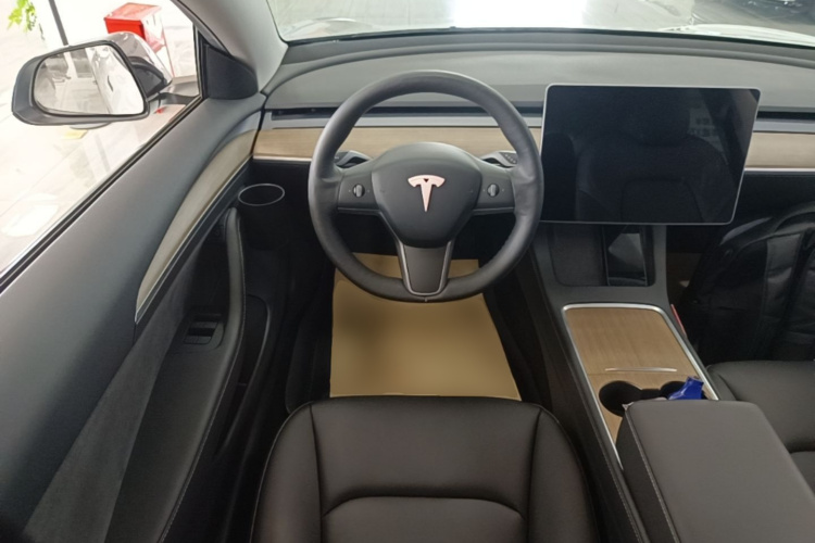 Tesla Model 3 2021 #11 Tesla Model 3 2021 car image #11