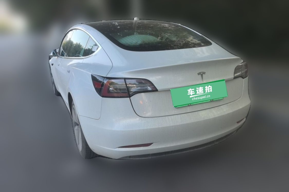 Tesla Model 3 2020 #3 Tesla Model 3 2020 car image #3